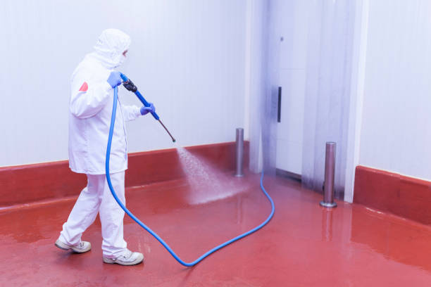 Best Concrete Sealing  in Elmwood, IL